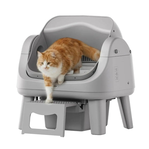 Open Top Automatic Cat Litter Box with 7 Safety Sensors & Anti-Pinch Protection, Easy Access Step for Senior Cats, Custom