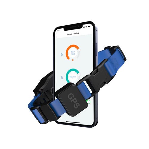 Smart GPS Wireless Dog Fence and Training Collar APP Control Rechargeable Training Shock Collar for Pet Behavioral Correction