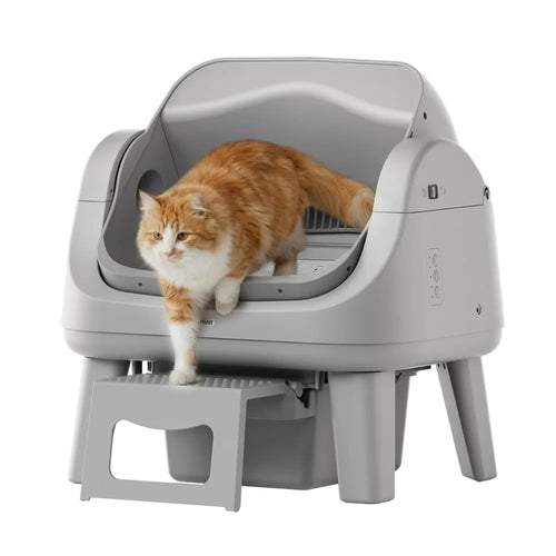 Open Top Automatic Cat Litter Box with 7 Safety Sensors & Anti-Pinch Protection, Easy Access Step for Senior Cats, Custom
