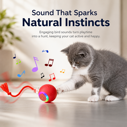 Smart interactive Pet Play Ball