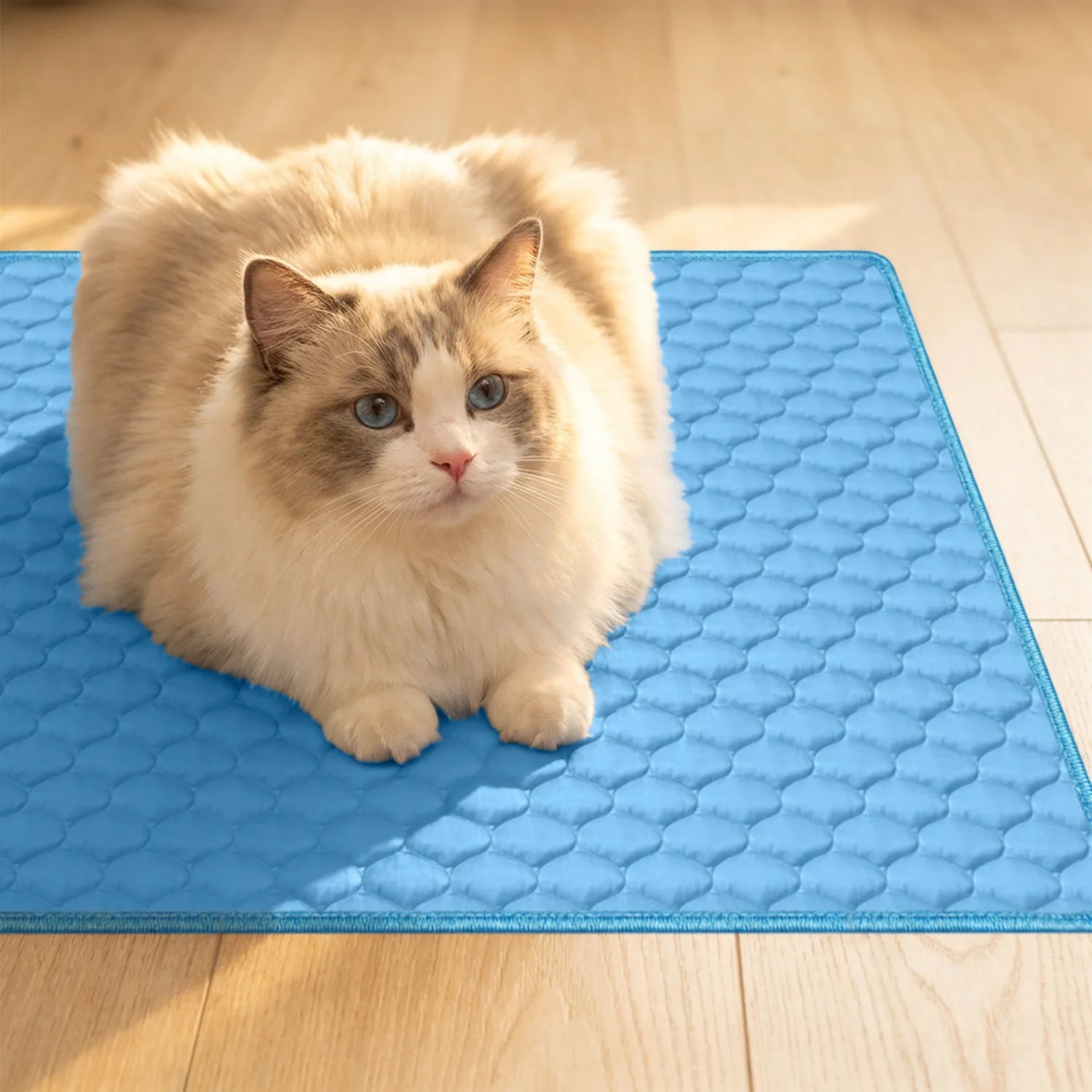 Summer Pet Cooling Mat Breathable Ice Silk Dog Cat Pad Washable Scratch Resistant Self Cooling Blanket Sofa Car Use Pet Supplies