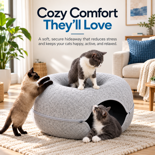 Interactive Cat Tunnel Cave