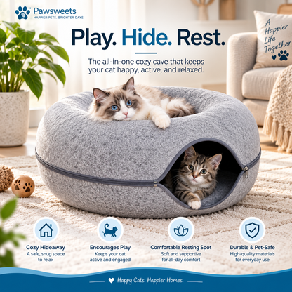 Interactive Cat Tunnel Cave