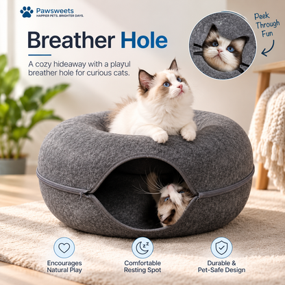 Interactive Cat Tunnel Cave