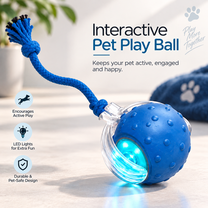 Smart interactive Pet Play Ball